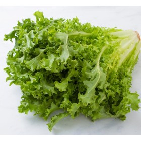 INSALATA RICCIA FRESCA